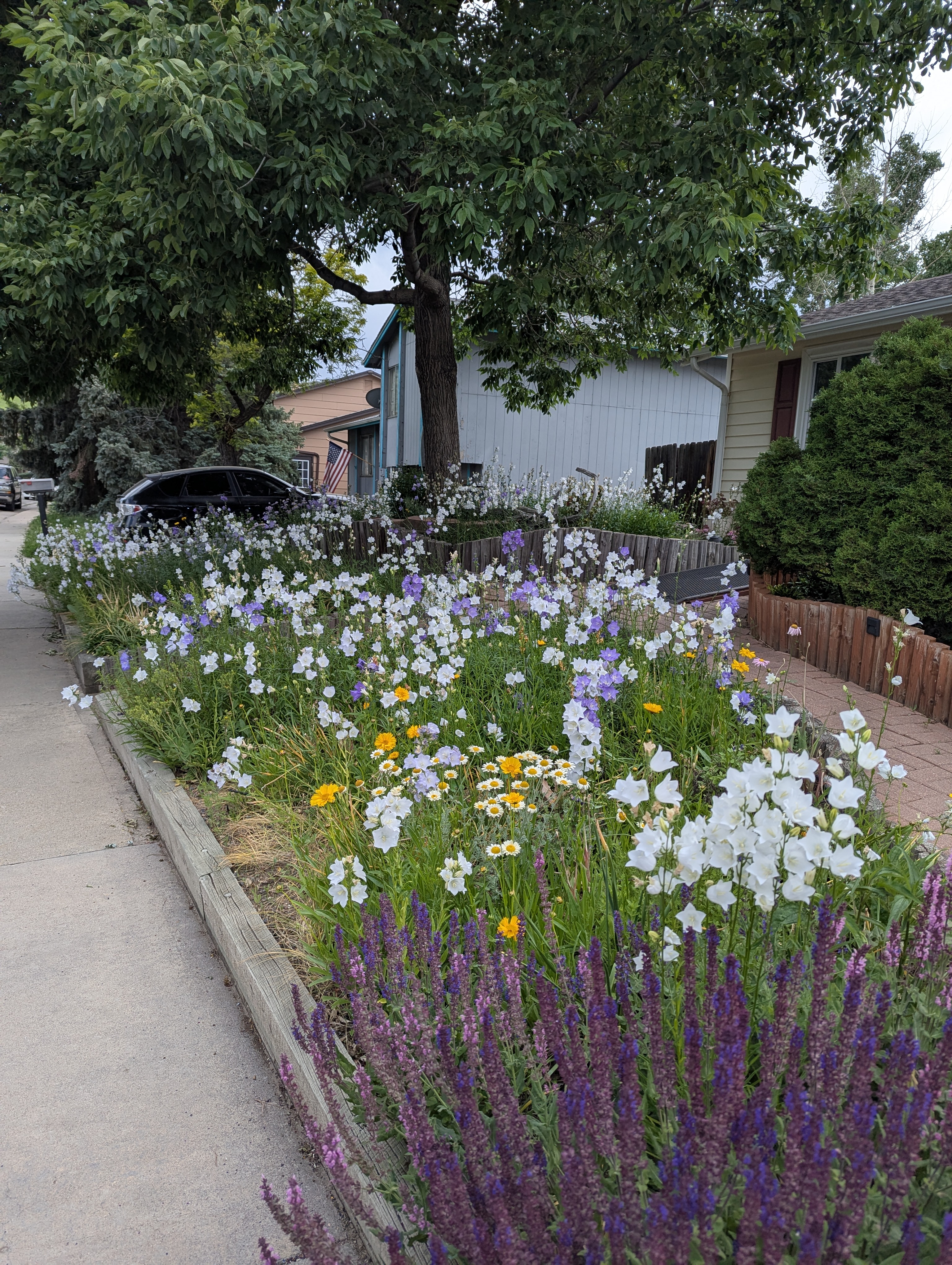 Father's Day, Golden, Colorado